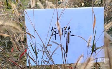 华律网